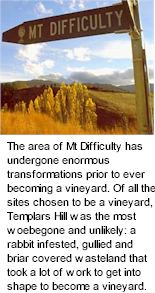 More About Mt Difficulty Winery