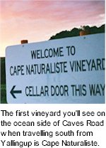 About Cape Naturaliste Wines
