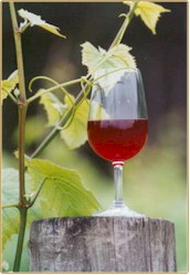 About Otway Estate Wines
