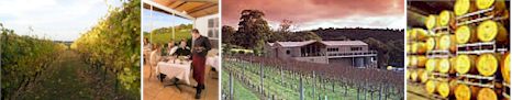 http://www.paringaestate.com.au/ - Paringa Estate - Top Australian & New Zealand wineries