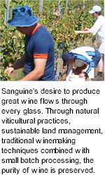 More on the Sanguine Winery