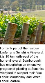 http://www.scarboroughwine.com.au/ - Scarborough - Top Australian & New Zealand wineries