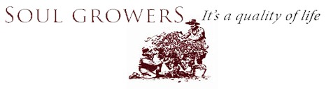 http://www.soulgrowers.com/ - Soul Growers - Top Australian & New Zealand wineries