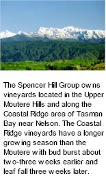 More About Spencer Hill Wines