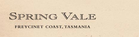 http://www.springvalewines.com/ - Spring Vale - Top Australian & New Zealand wineries