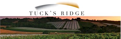 http://www.tucksridge.com.au/ - Tucks Ridge - Top Australian & New Zealand wineries