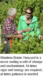 More About Wantirna Estate Wines