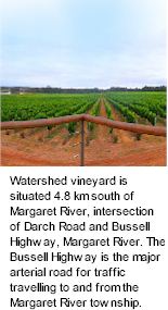 More About Watershed Wines
