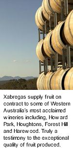 More on the Xabregas Winery